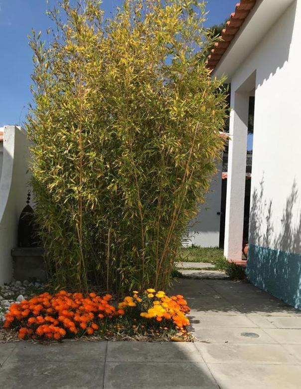 Santa Cruz Beach House Areias Екстериор снимка